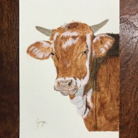 Cow in acrylics.
